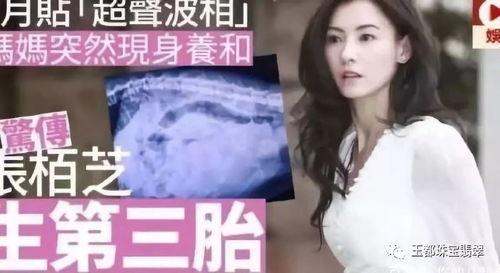 谢娜爆料张柏芝视频,背后真相引发热议  第3张