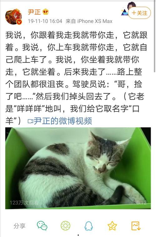 尹正微博最新爆料,揭秘娱乐圈不为人知的一面  第2张