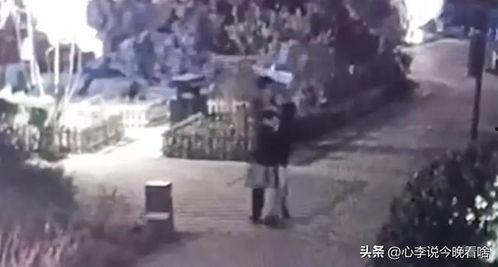 老街最新爆料视频播放,揭秘视频中的历史角落与生活变迁  第3张 老街最新爆料视频播放,揭秘视频中的历史角落与生活变迁  第3张